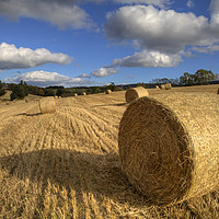Buy canvas prints of Make Hay While the Sun Shines by Alan Crawford