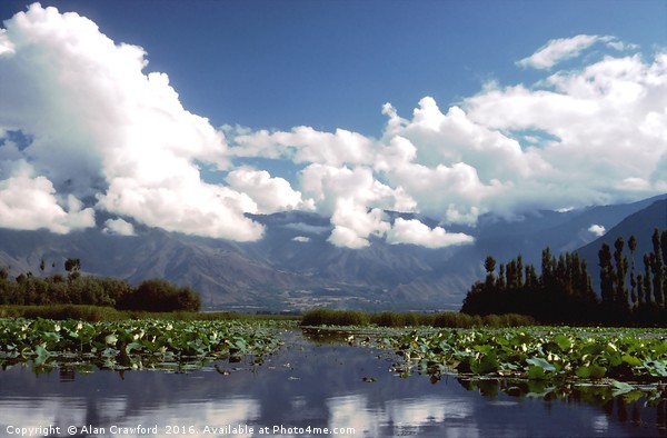 Nagin Lake, Kashmir Picture Board by Alan Crawford