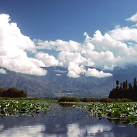 Buy canvas prints of Nagin Lake, Kashmir by Alan Crawford