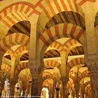 Buy canvas prints of The Mezquita in Cordoba, Spain by Alan Crawford