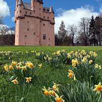 Buy canvas prints of Craigievar castle, Scotland by Alan Crawford