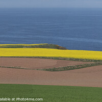 Buy canvas prints of Croft and farm fields on the Scottish coast by Alan Crawford