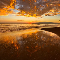 Buy canvas prints of Spectacular beach sunset in the town of Lahaina on by Jamie Pham