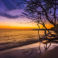 Buy canvas prints of Spectacular beach sunset in the town of Lahaina on by Jamie Pham