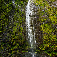 Buy canvas prints of The spectacular and large Waimoku Falls in Maui. by Jamie Pham