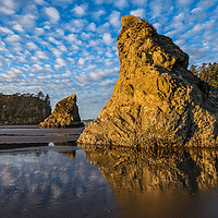 Buy canvas prints of Ruby Beach in Olympic National Park located in Was by Jamie Pham