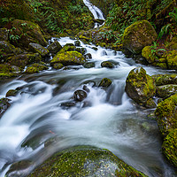 Buy canvas prints of Beautiful Bunch Creek Falls in the Olympic Nationa by Jamie Pham