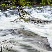 Buy canvas prints of Lower Lewis River Falls in Washington State. by Jamie Pham