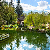 Buy canvas prints of Beautiful Chinese Garden at the Huntington Library by Jamie Pham