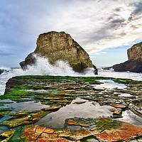 Buy canvas prints of Dramatic view of Shark Fin Cove by Jamie Pham