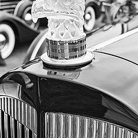 Buy canvas prints of The cars and crowds at the Concours d’Elegance. by Jamie Pham