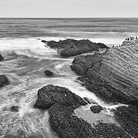 Buy canvas prints of The jagged rocks and cliffs of Montana de Oro Stat by Jamie Pham