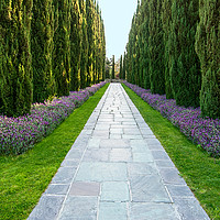 Buy canvas prints of The beautiful grounds of Greystone Mansion in Beve by Jamie Pham