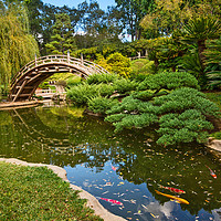 Buy canvas prints of The beautifully renovated Japanese Gardens by Jamie Pham