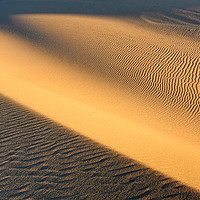 Buy canvas prints of Beautiful sand dunes of the Rancho Guadalupe Dunes by Jamie Pham