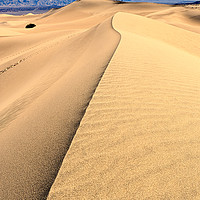 Buy canvas prints of Sand Dune ridge in Death Valley National Park by Jamie Pham