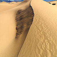 Buy canvas prints of Collapsed sand dune ridge in Death Valley National by Jamie Pham