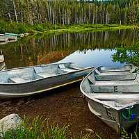 Buy canvas prints of Row Boats lining a lake by Jamie Pham