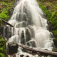 Buy canvas prints of Fairy Falls in the Columbia River Gorge Area of Or by Jamie Pham