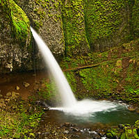 Buy canvas prints of Ponytail Falls at the Columbia River Gorge. by Jamie Pham