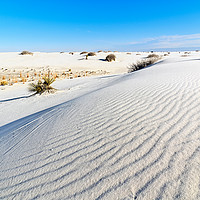 Buy canvas prints of Early morning view of the sand dunes in White Sand by Jamie Pham