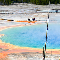 Buy canvas prints of Overhead view of Grand Prismatic Spring in Yellows by Jamie Pham