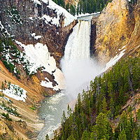 Buy canvas prints of Yellowstone Falls in Spring Time by Jamie Pham