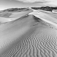 Buy canvas prints of Early morning in the Mesquite Sand Dunes in Death  by Jamie Pham