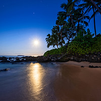Buy canvas prints of The Moon glowing over Secret Beach in Maui. by Jamie Pham