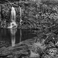 Buy canvas prints of The beautiful and magical waterfalls in Maui by Jamie Pham