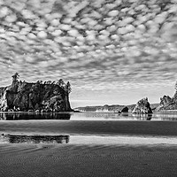Buy canvas prints of Second Beach in Olympic National Park located in W by Jamie Pham