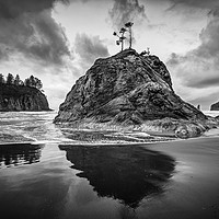 Buy canvas prints of Second Beach in Olympic National Park located in W by Jamie Pham