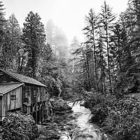 Buy canvas prints of The Cedar Creek Grist Mill in Washington State. by Jamie Pham