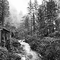 Buy canvas prints of The Cedar Creek Grist Mill in Washington State. by Jamie Pham
