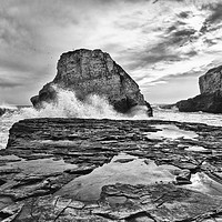 Buy canvas prints of Dramatic view of Shark Fin Cove by Jamie Pham