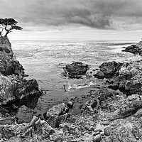 Buy canvas prints of The famous Lone Cypress tree at Pebble Beach in Mo by Jamie Pham