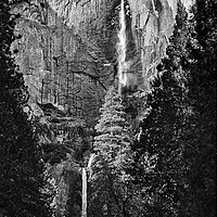 Buy canvas prints of Yosemite Falls by Jamie Pham