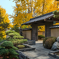 Buy canvas prints of The beautiful fall colors of the Japanese Gardens by Jamie Pham