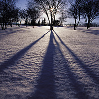 Buy canvas prints of Winter shadows by Colin Woods