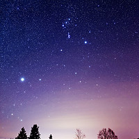 Buy canvas prints of Orion and Sirius in the Winter Sky by Colin Woods