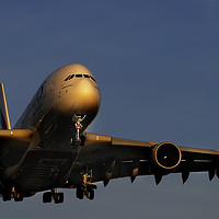 Buy canvas prints of Airbus A380 landing at Heathrow by Colin Woods