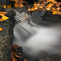 Buy canvas prints of Fallen Leaves and Waterfall by Colin Woods