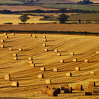 Buy canvas prints of Fields in Autumn by Colin Woods