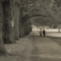 Buy canvas prints of A Walk in the Park by Colin Woods