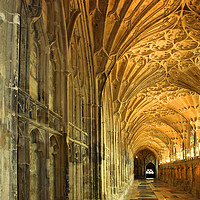 Buy canvas prints of The Cloisters of Gloucester Cathedral by Colin Woods