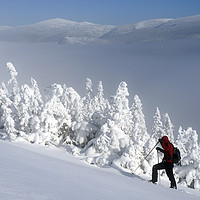 Buy canvas prints of Back Country Skiing in Quebec by Colin Woods