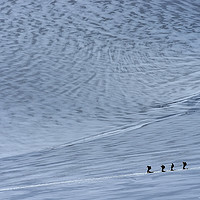 Buy canvas prints of Climbers on a Glacier by Colin Woods