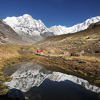 Buy canvas prints of Trekkers in Annapurna Base Camp by Colin Woods