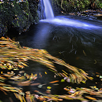 Buy canvas prints of Autumn Leaves moving in a River by Colin Woods