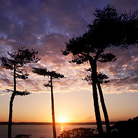Buy canvas prints of Sunset from Thatcher Point in Torquay, England by Colin Woods